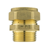 Brass Compression 22mm Straight with 25mm MDPE Straight