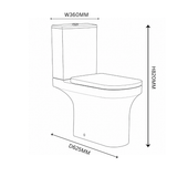 Aqua Elettra Rimless WC inc. Soft Close Seat Frontline