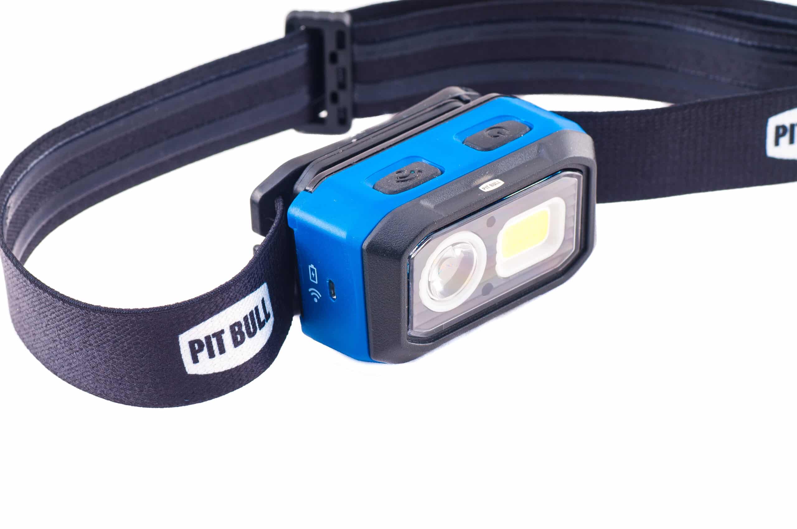 Pit Bull Head Torch