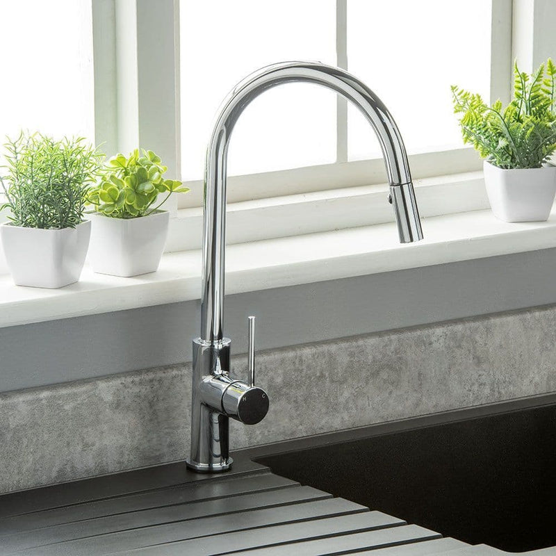 Modern kitchen faucet with a sink and plants on a windowsill